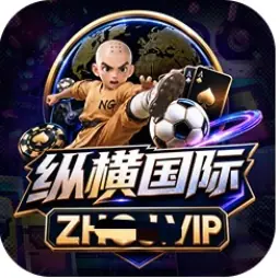 纵横国际